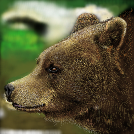 Brown bear, head facing left, in a forest.